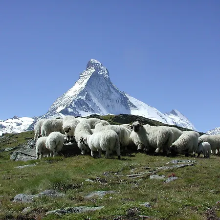 Europe & Zermatt