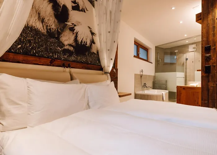 ヨーロッパ ＆ スパ 4*